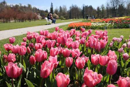 Spomladanska razstava cvetja in tulipanov(3)