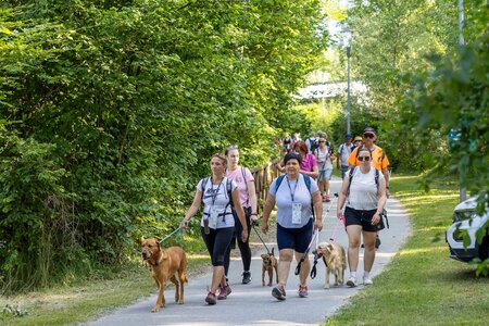 Pohod ob reki, ki povezuje: desetletje povezovanja in preseganja meja 2025 (3)